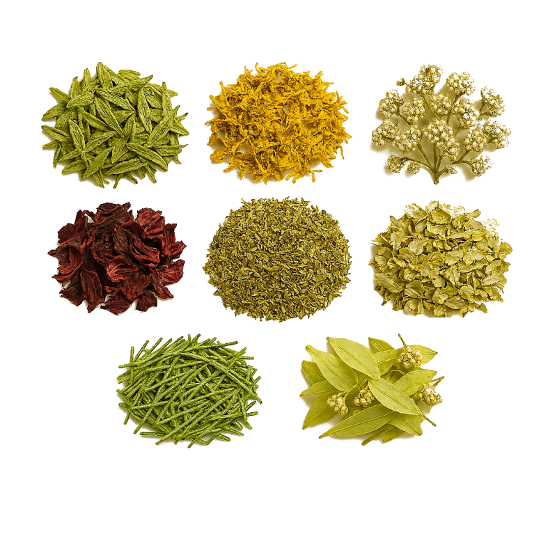 BIO Kräuterpaket Wohlfühl-Mix (VIII - 8 Kräuter)