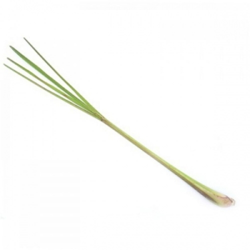 BIO Zitronengras (Cymbopogon citratus herba) (10g)