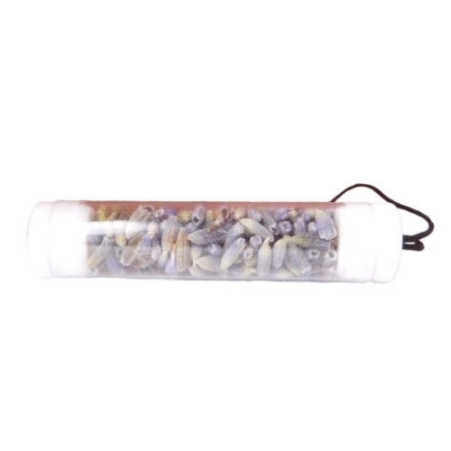 FocusVape Steel Kapsel Container (inkl. 2 Herb Kapseln) Schwarz FocusVape Steel Kapsel Container (inkl. 2 Herb Kapseln) Schwarz
