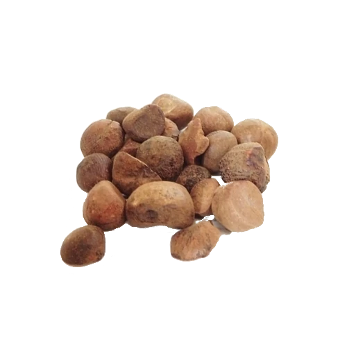 BIO Guaranasamen (10g)